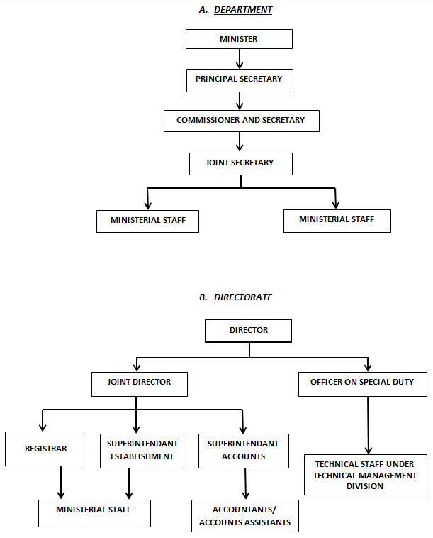 Organisational Chart